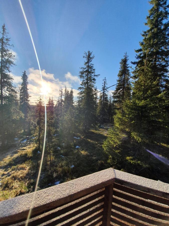 Hietavilla Aurora Ruka Dış mekan fotoğraf
